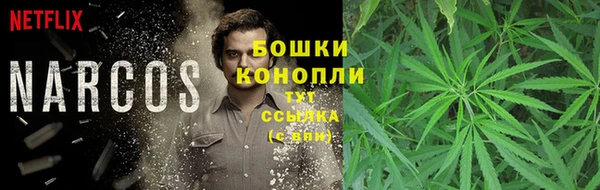 каннабис Алексеевка