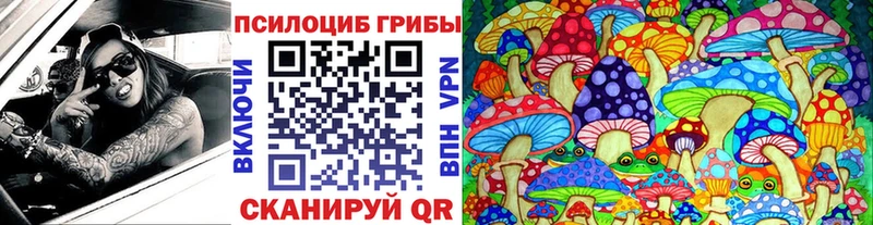 Псилоцибиновые грибы мицелий  Дедовск 