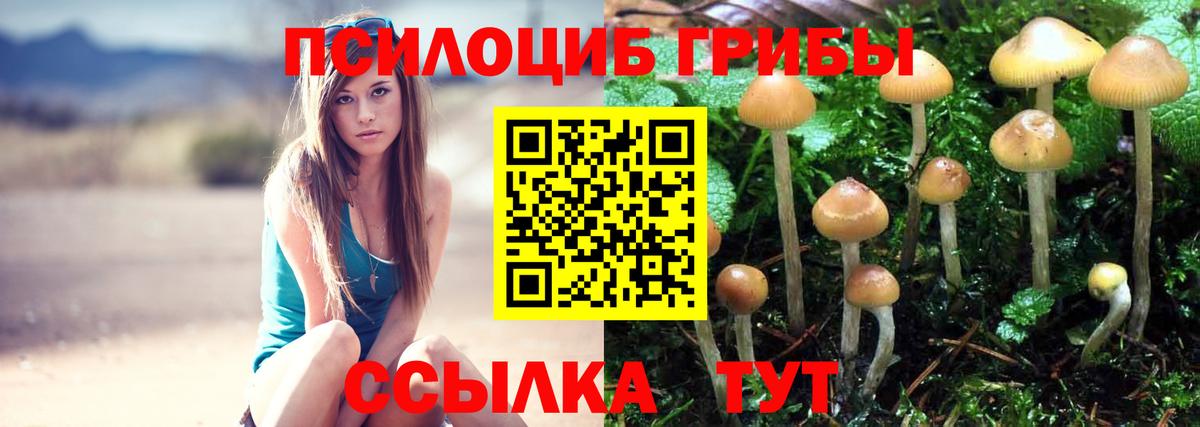 Галлюциногенные грибы Psilocybine cubensis  Вход с VPN  Псилоцибиновые грибы MAGIC MUSHROOMS  Дедовск 